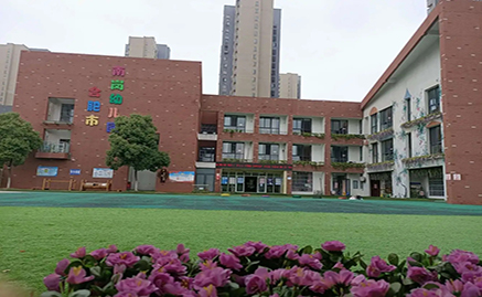 2025新澳门免费原料大全
